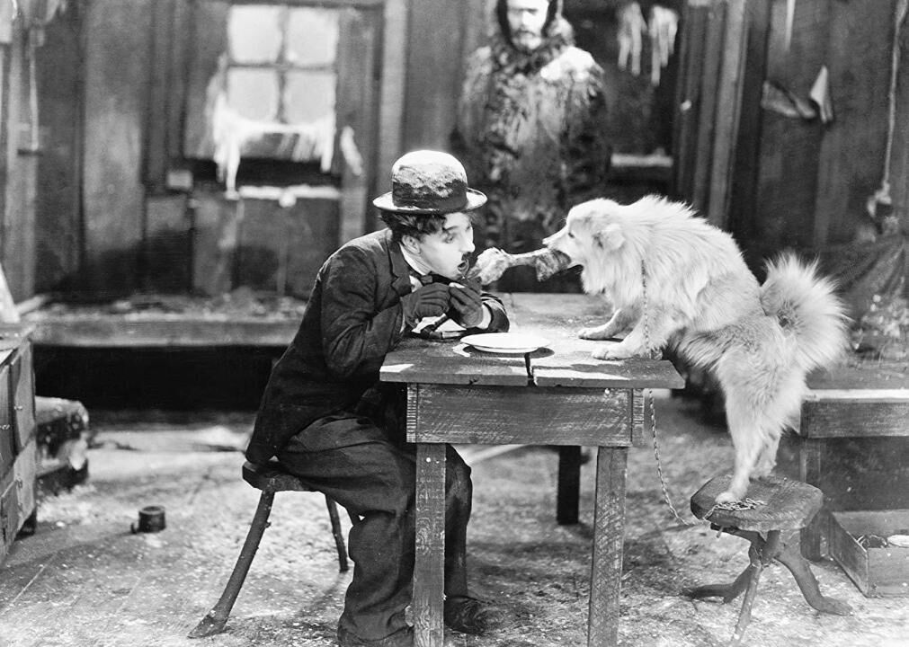 #44. The Gold Rush (1925)